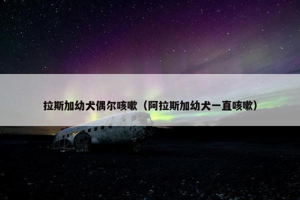 拉斯加幼犬偶尔咳嗽（阿拉斯加幼犬一直咳嗽）