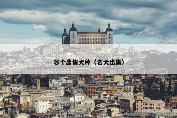 哪个出售犬种（名犬出售）