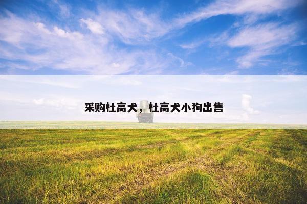 采购杜高犬，杜高犬小狗出售