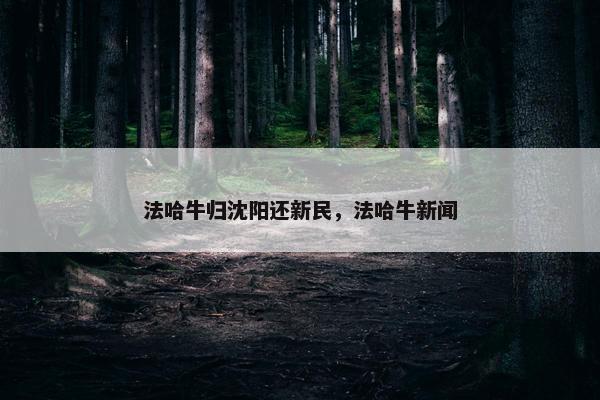 法哈牛归沈阳还新民，法哈牛新闻