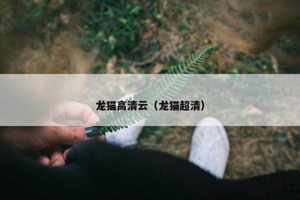 龙猫高清云（龙猫超清）