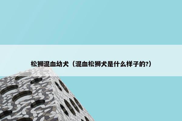 松狮混血幼犬（混血松狮犬是什么样子的?）