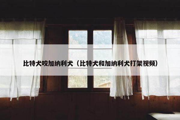 比特犬咬加纳利犬（比特犬和加纳利犬打架视频）