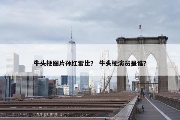 牛头梗图片孙红雷比？ 牛头梗演员是谁？