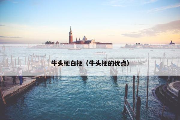 牛头梗白梗（牛头梗的优点）