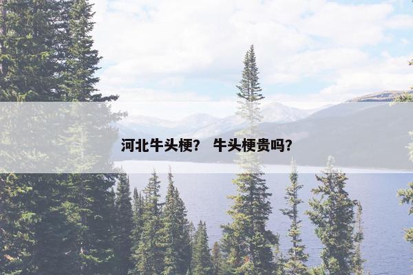 河北牛头梗？ 牛头梗贵吗？