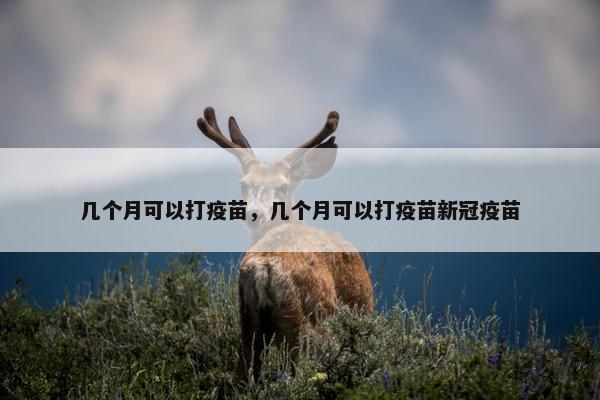 几个月可以打疫苗，几个月可以打疫苗新冠疫苗