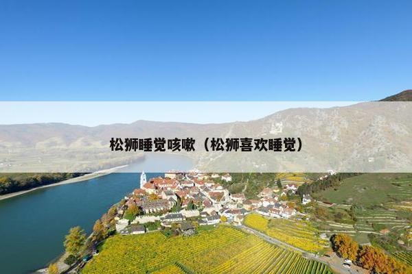 松狮睡觉咳嗽（松狮喜欢睡觉）