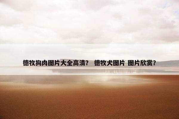 德牧狗肉图片大全高清？ 德牧犬图片 图片欣赏？