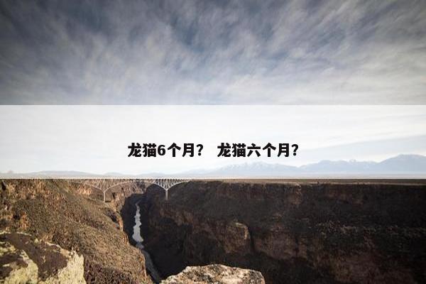 龙猫6个月？ 龙猫六个月？