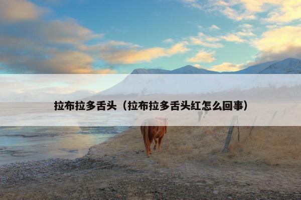 拉布拉多舌头（拉布拉多舌头红怎么回事）