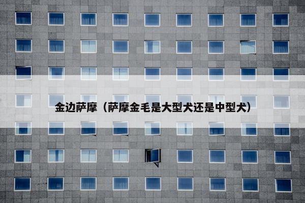 金边萨摩（萨摩金毛是大型犬还是中型犬）