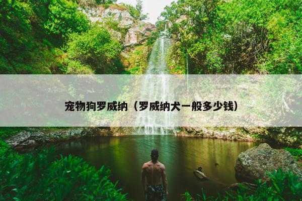 宠物狗罗威纳（罗威纳犬一般多少钱）
