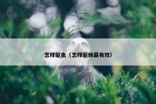 怎样驱虫（怎样驱蝇最有效）