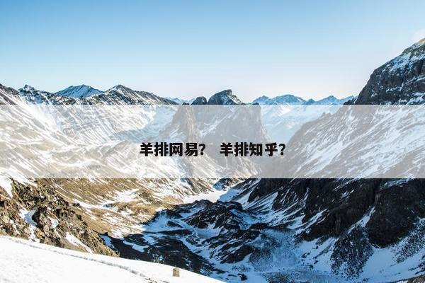 羊排网易？ 羊排知乎？