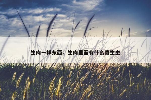 生肉一样东西，生肉里面有什么寄生虫