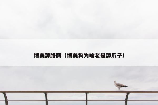 博美舔胳膊（博美狗为啥老是舔爪子）