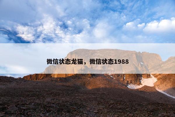 微信状态龙猫，微信状态1988