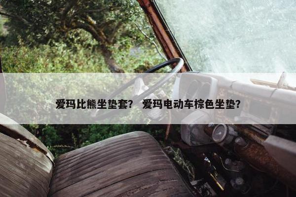 爱玛比熊坐垫套？ 爱玛电动车棕色坐垫？