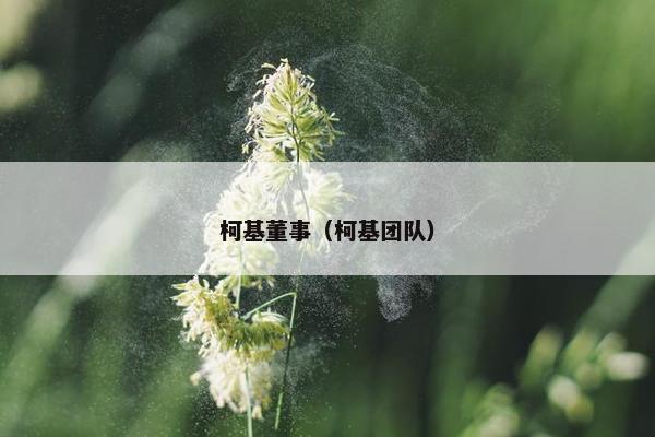 柯基董事（柯基团队）