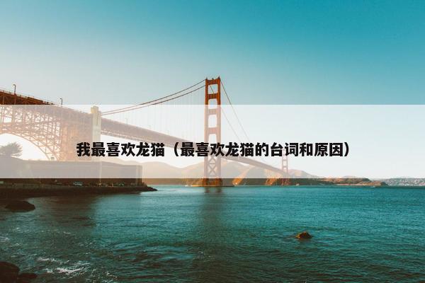 我最喜欢龙猫（最喜欢龙猫的台词和原因）