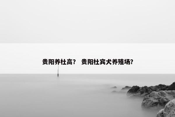 贵阳养杜高？ 贵阳杜宾犬养殖场？