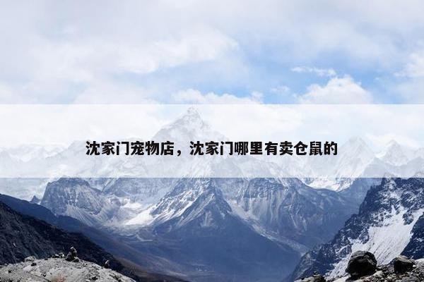 沈家门宠物店，沈家门哪里有卖仓鼠的