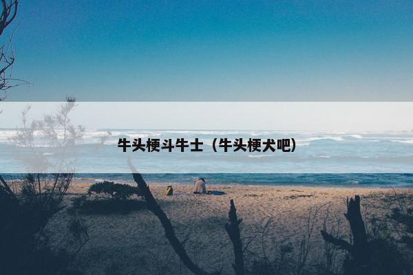牛头梗斗牛士（牛头梗犬吧）