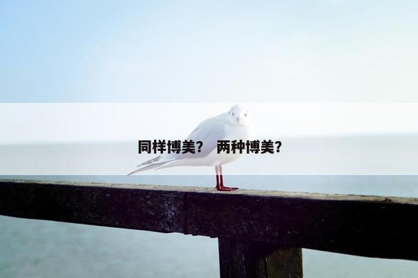 同样博美？ 两种博美？