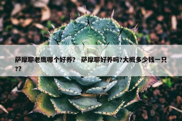 萨摩耶老鹰哪个好养？ 萨摩耶好养吗?大概多少钱一只?？