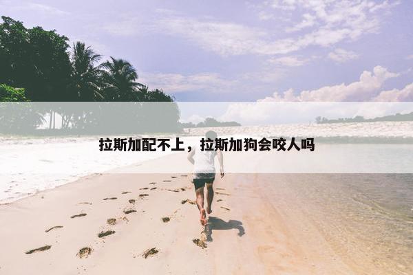 拉斯加配不上，拉斯加狗会咬人吗