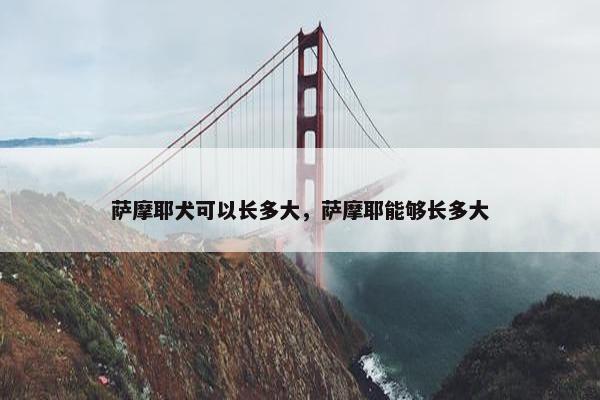 萨摩耶犬可以长多大，萨摩耶能够长多大