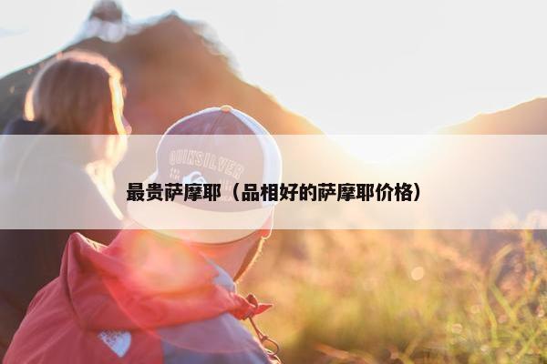 最贵萨摩耶（品相好的萨摩耶价格）