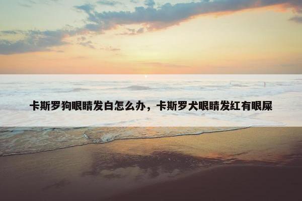 卡斯罗狗眼睛发白怎么办，卡斯罗犬眼睛发红有眼屎