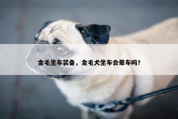 金毛坐车装备，金毛犬坐车会晕车吗?
