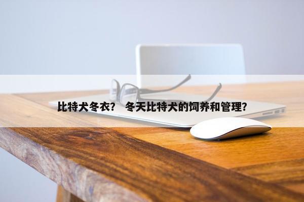 比特犬冬衣？ 冬天比特犬的饲养和管理？