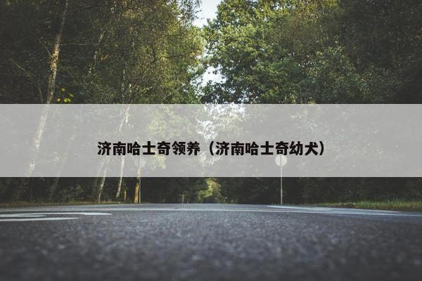 济南哈士奇领养（济南哈士奇幼犬）