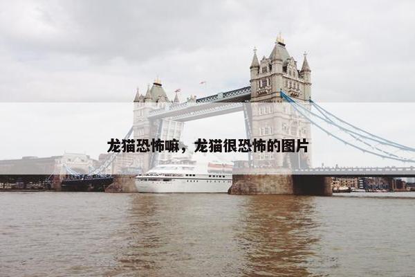 龙猫恐怖嘛，龙猫很恐怖的图片