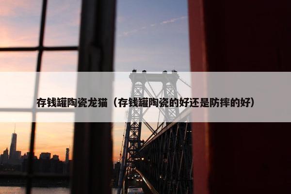 存钱罐陶瓷龙猫（存钱罐陶瓷的好还是防摔的好）