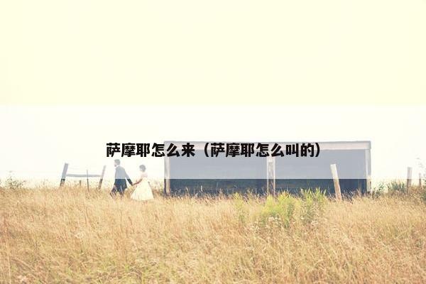 萨摩耶怎么来（萨摩耶怎么叫的）