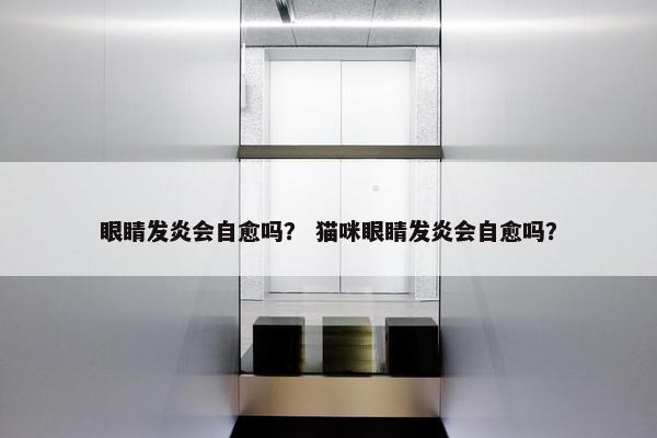 眼睛发炎会自愈吗？ 猫咪眼睛发炎会自愈吗？