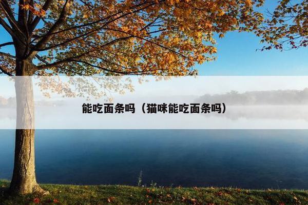 能吃面条吗（猫咪能吃面条吗）