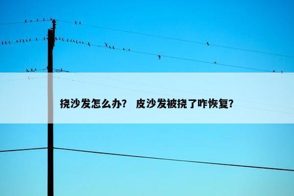 挠沙发怎么办？ 皮沙发被挠了咋恢复？