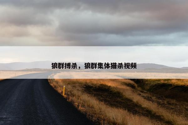 狼群搏杀，狼群集体猎杀视频