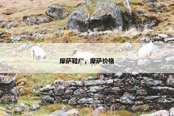 摩萨鞋厂，摩萨价格