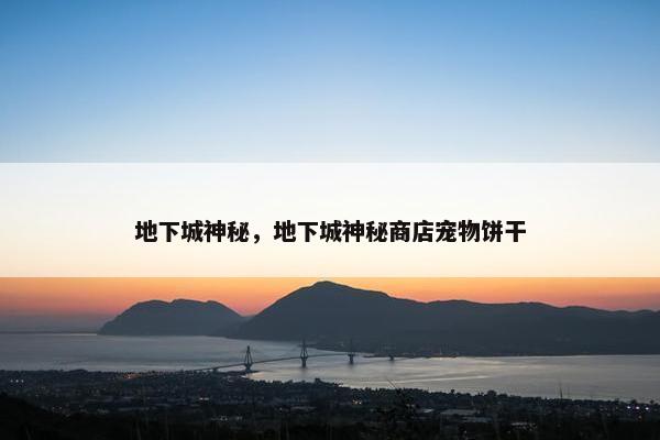 地下城神秘，地下城神秘商店宠物饼干