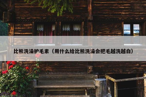 比熊洗澡护毛素（用什么给比熊洗澡会把毛越洗越白）