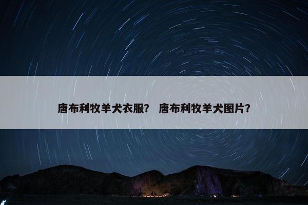 唐布利牧羊犬衣服？ 唐布利牧羊犬图片？