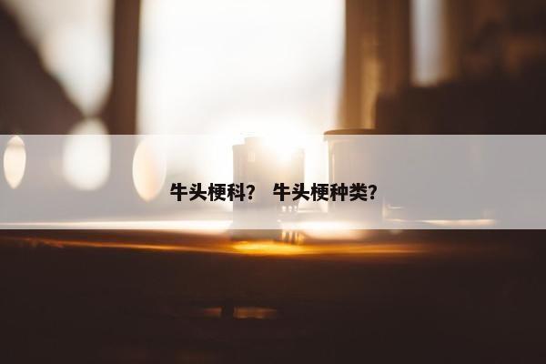 牛头梗科？ 牛头梗种类？