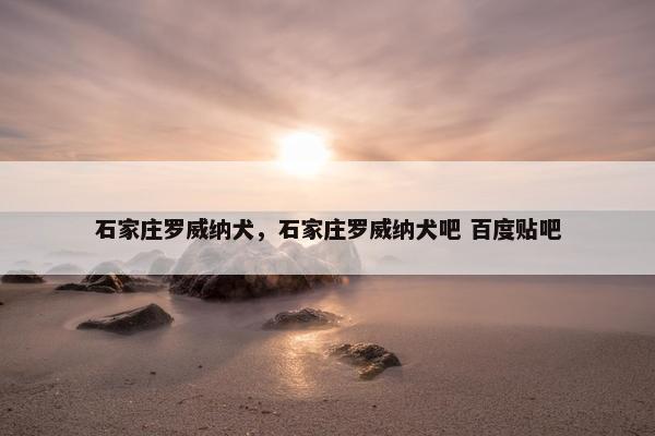 石家庄罗威纳犬，石家庄罗威纳犬吧 百度贴吧